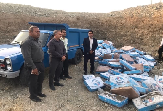 دامپزشکی جیرفت